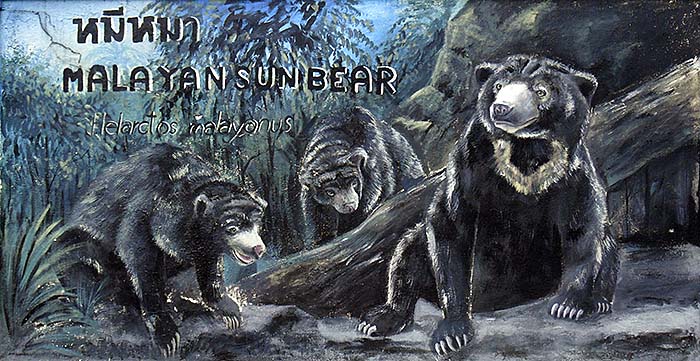 'Malayan Sun Bears | Painting at Dusit Zoo / Bangkok' by Asienreisender